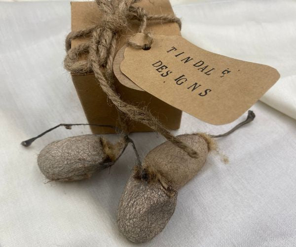 Wild Tussar Silk Cocoons ‘Peace Silk Cocoons’ - 3 Pack